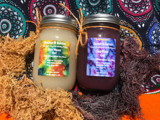 Sea Moss 2 Pack (purple & gold)